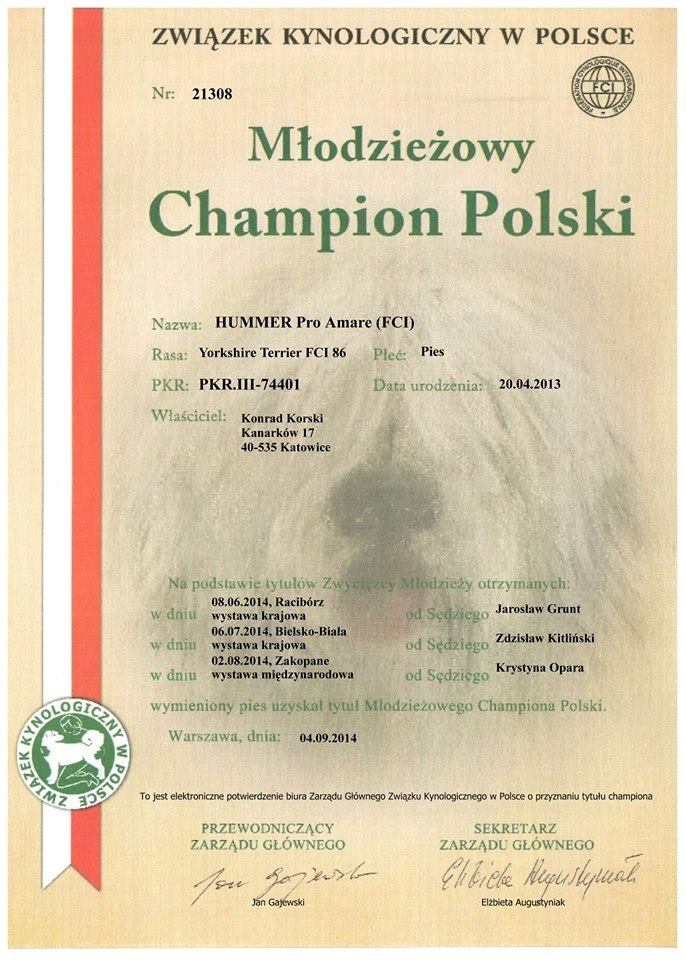 New Polish Junior Champion